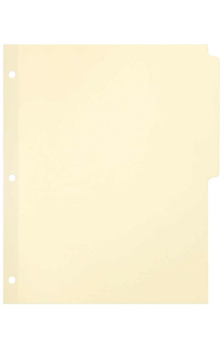Packs of 100 Blank Ivory Tabs (sold in packs of 100)